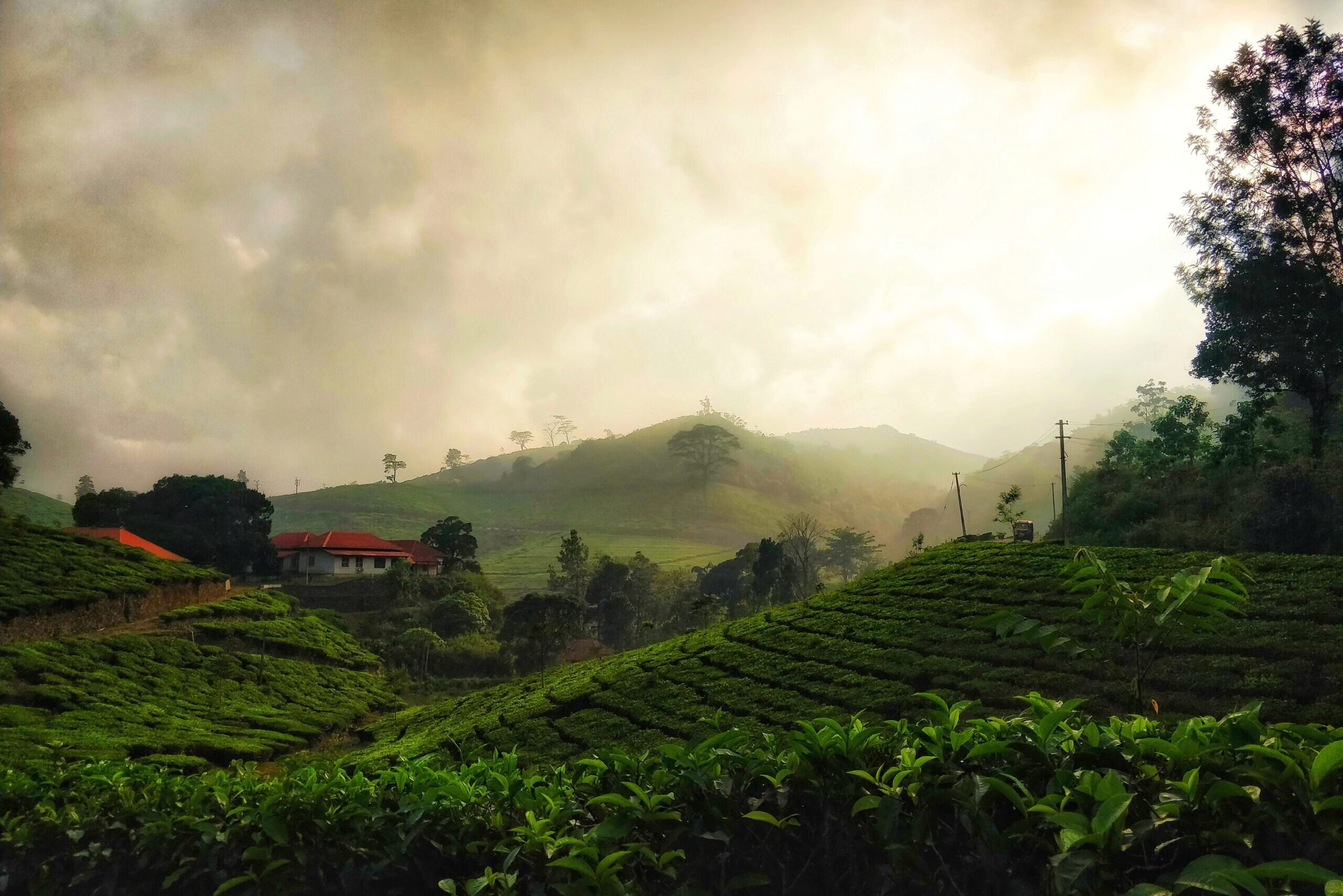 keral-tour-image