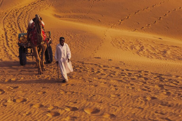 rajasthan-desert